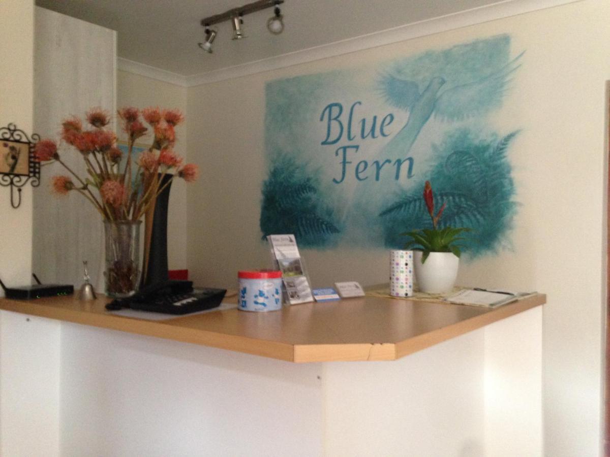 Bed and Breakfast Blue Fern Of Книсна Екстер'єр фото