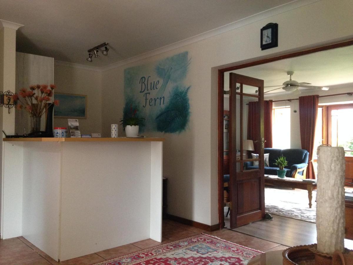 Bed and Breakfast Blue Fern Of Книсна Екстер'єр фото
